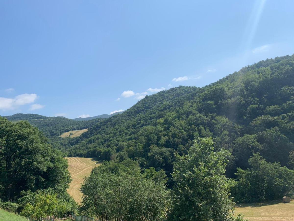 B&B Villa Bianca Sant'Agata  Bagian luar foto